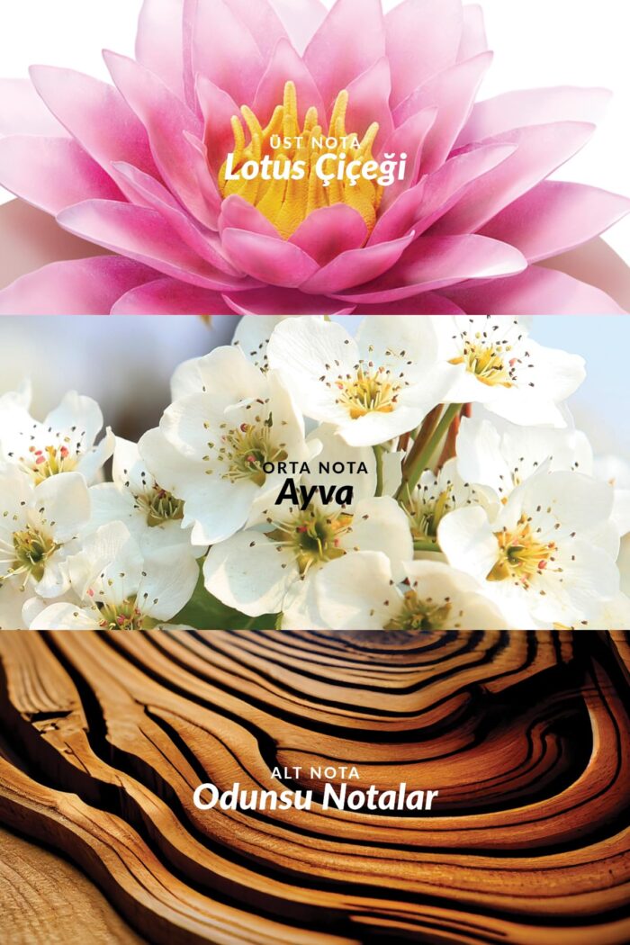 Avon Incandessence Lotus Kadın Parfüm EDP 50ml - Görsel 3